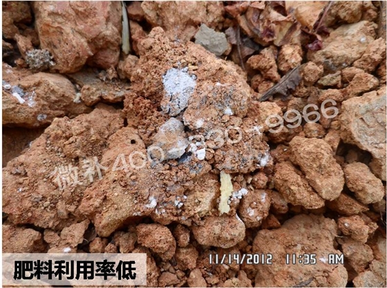 #微補講壇#走出肥料利用率低的困境 #微補講壇#走出肥料利用率低的困境