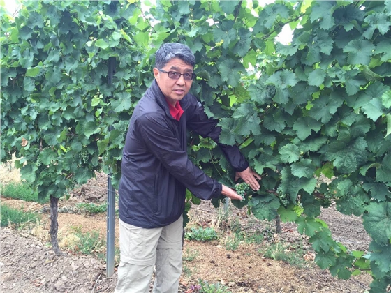 余教授德國(guó)鄉(xiāng)村行：小酒莊，400年，小而美