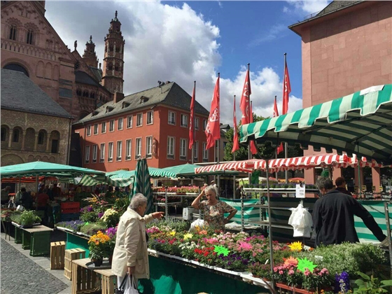 余教授德國鄉(xiāng)村行:德國水果賣品質(zhì) 余教授德國鄉(xiāng)村行:德國水果賣品質(zhì)