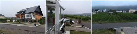 葡萄農(nóng)莊清晨 葡萄農(nóng)莊清晨