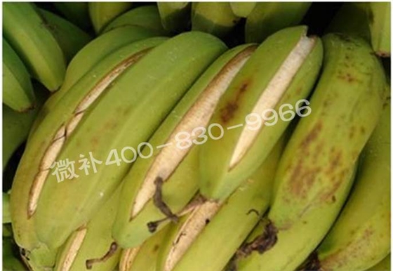 粉蕉抽蕾后如何施肥？