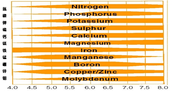 pH值 (2).png pH值 (2).png