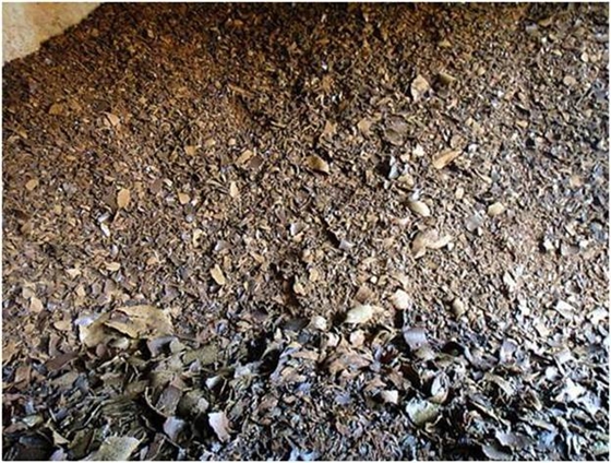 有機(jī)質(zhì) 有機(jī)質(zhì)