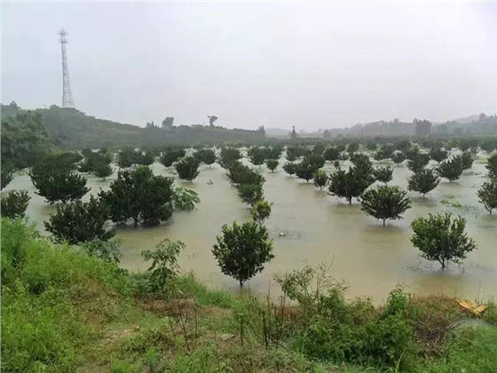 微信圖片_20190612092840.jpg 微信圖片_20190612092840.jpg