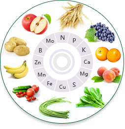 第一步  補對元素