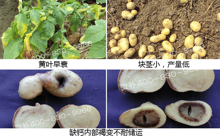 微補(bǔ) 微補(bǔ)