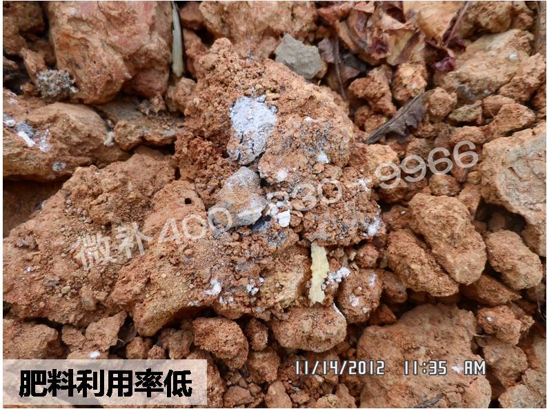 #微補講壇#走出肥料利用率低的困境 #微補講壇#走出肥料利用率低的困境