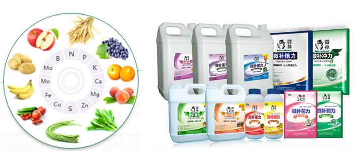 #微補講壇#走出肥料利用率低的困境 #微補講壇#走出肥料利用率低的困境