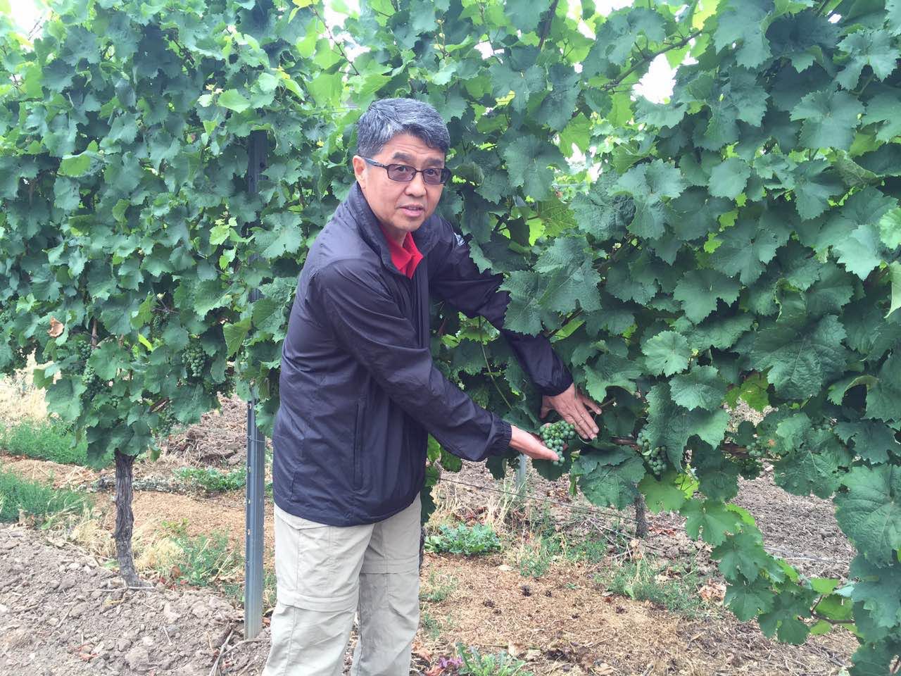 余教授德國(guó)鄉(xiāng)村行：小酒莊，400年，小而美