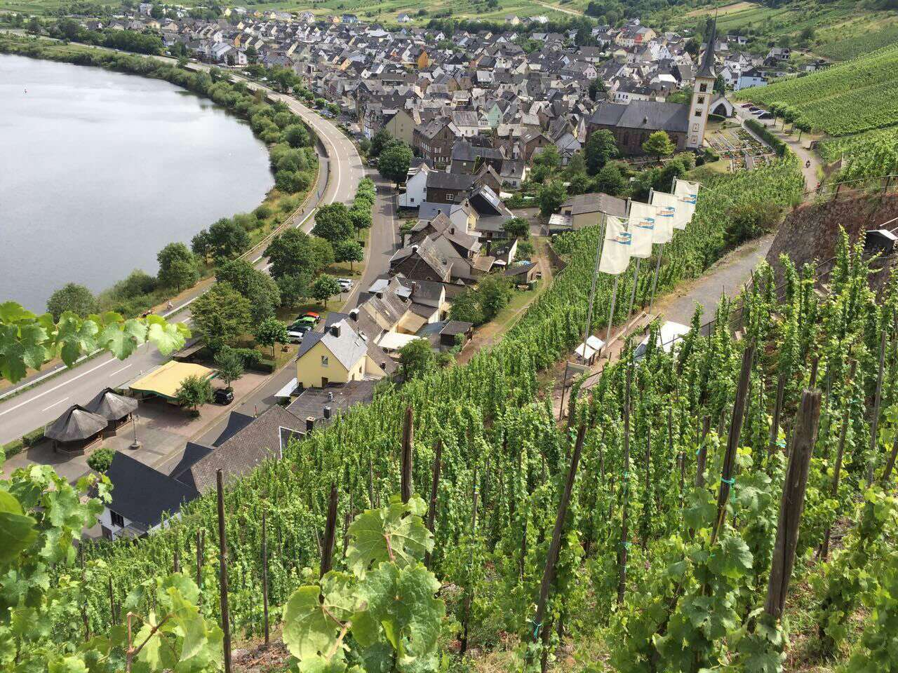 余教授德國鄉(xiāng)村行:世界葡萄園的無限風(fēng)光在摩澤爾河 余教授德國鄉(xiāng)村行:世界葡萄園的無限風(fēng)光在摩澤爾河