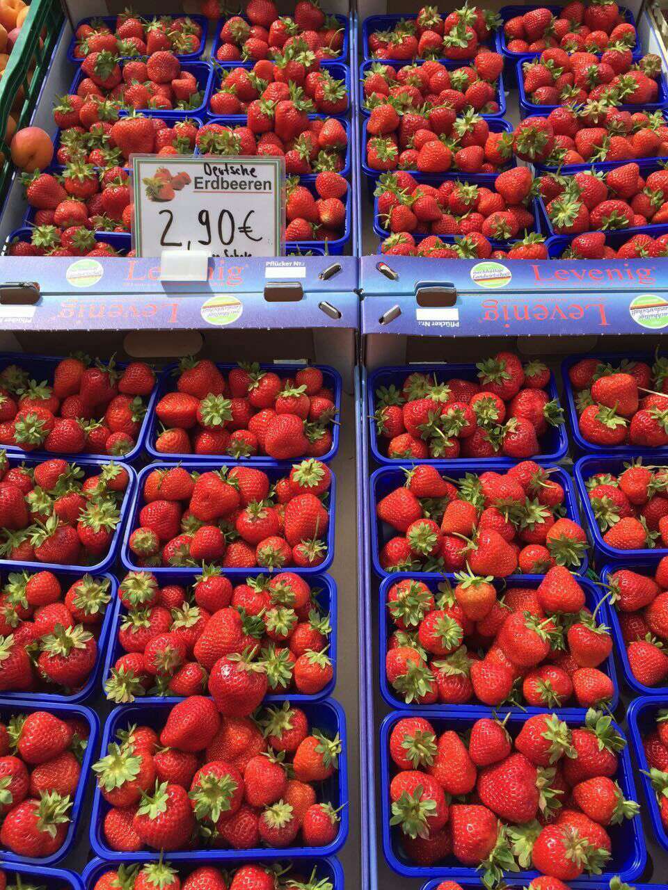 余教授德國鄉(xiāng)村行:德國水果賣品質(zhì) 余教授德國鄉(xiāng)村行:德國水果賣品質(zhì)