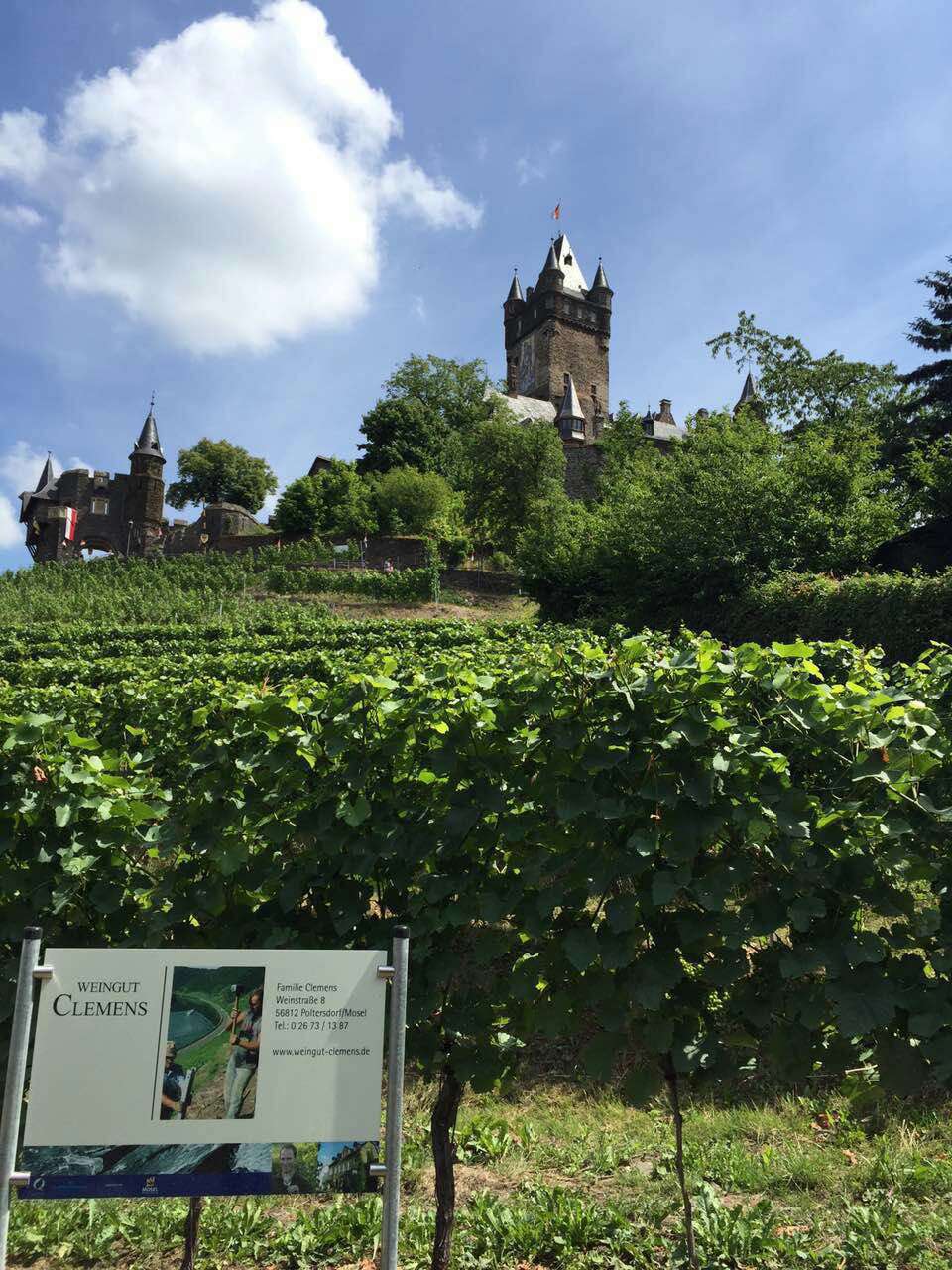 余教授德國鄉(xiāng)村行：摩澤爾河的葡萄魅力在哪兒？