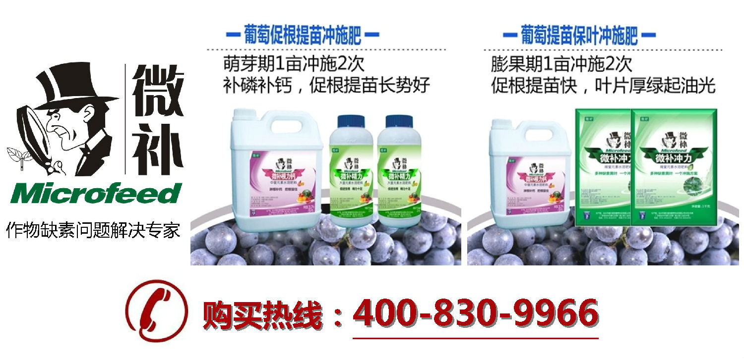 余教授德國鄉(xiāng)村行:世界葡萄園的無限光在摩澤爾河 余教授德國鄉(xiāng)村行:世界葡萄園的無限光在摩澤爾河