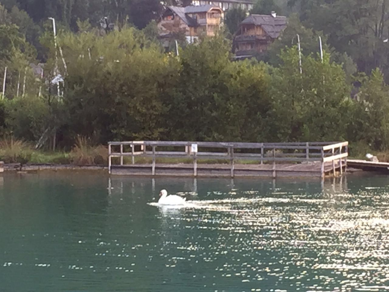余教授奧地利鄉(xiāng)村行：萬(wàn)科為什么說(shuō)把奧地利小鎮(zhèn)搬回來(lái)？