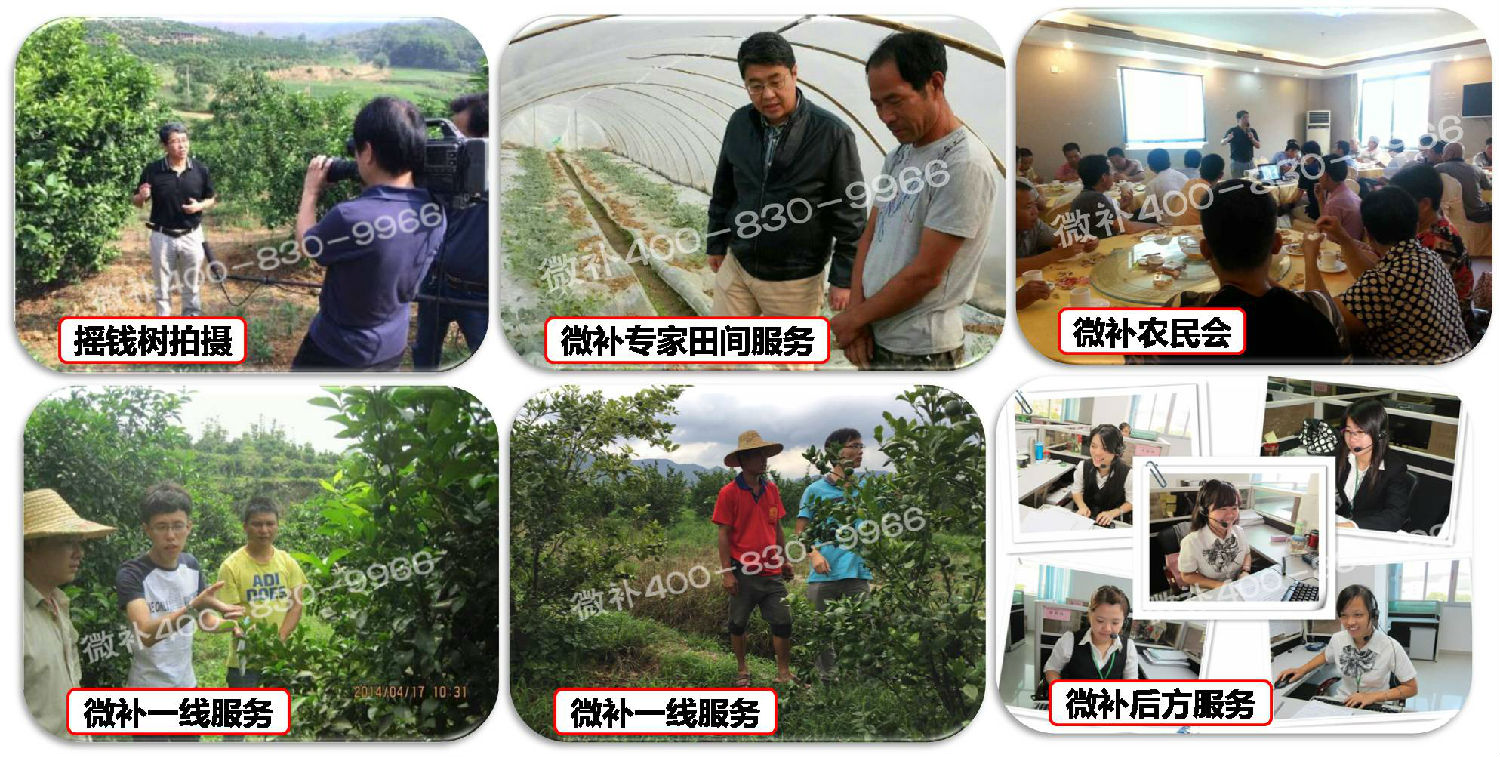 【余教授奧地利鄉(xiāng)村行:音樂之聲把游客帶到了薩爾斯堡】 【余教授奧地利鄉(xiāng)村行:音樂之聲把游客帶到了薩爾斯堡】