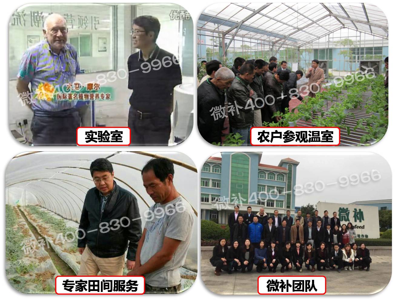 余教授奧地利維也納行：不懂音樂(lè)的農(nóng)民教授，在音樂(lè)之都的感受