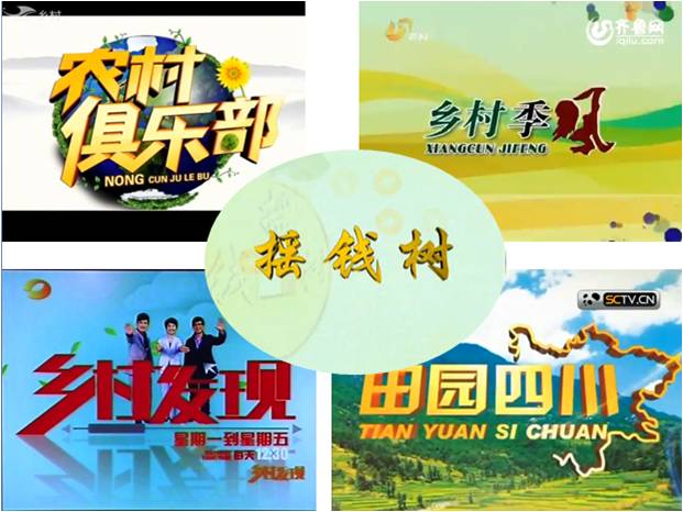 廣東電視臺搖錢樹欄目的余教授 廣東電視臺搖錢樹欄目的余教授