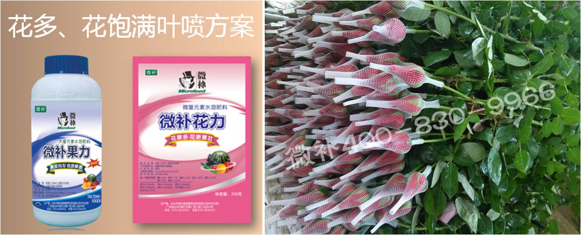 花卉也需要微補嗎？