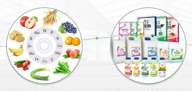 品牌那么多，如何選擇優(yōu)質(zhì)葉面肥？