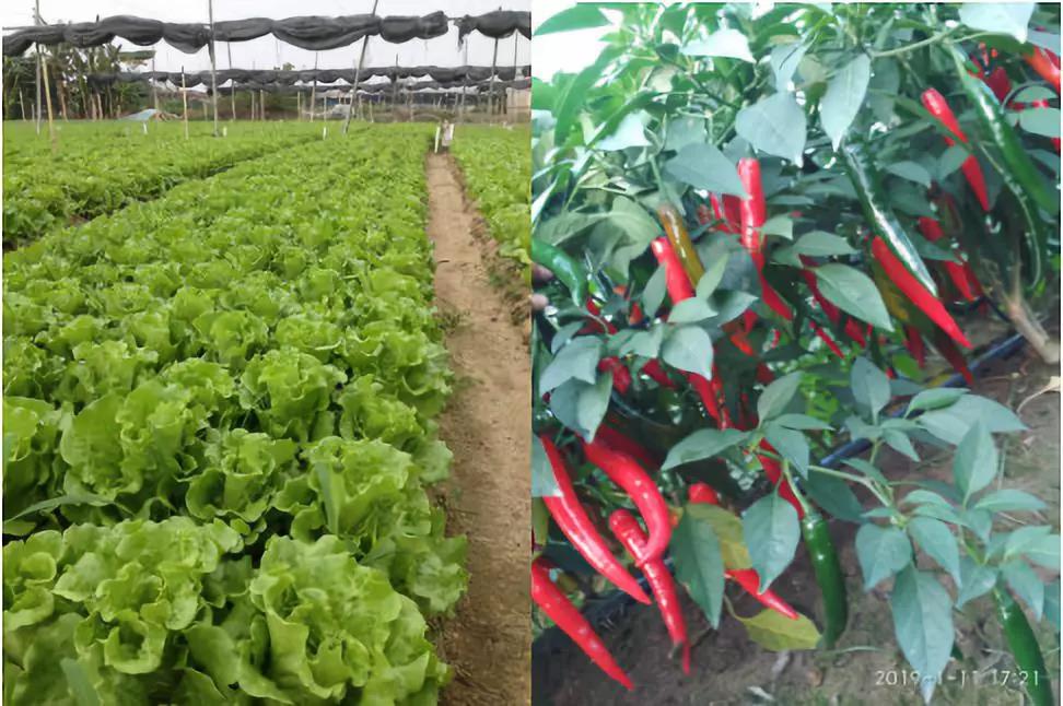 微信圖片_20191202165344.jpg 微信圖片_20191202165344.jpg