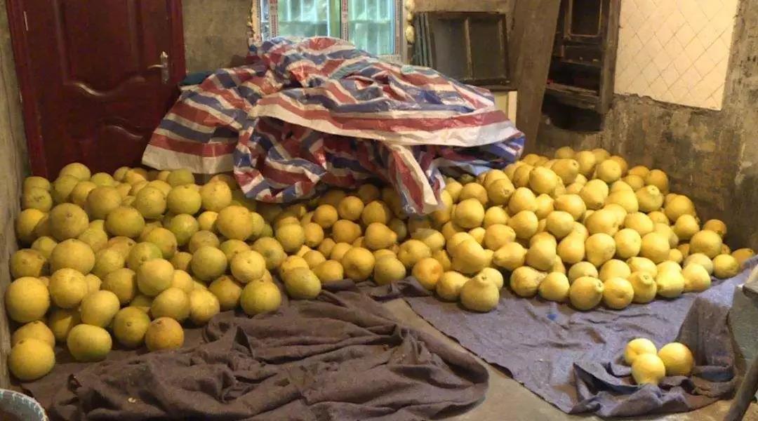 微信圖片_20191218154922.jpg 微信圖片_20191218154922.jpg