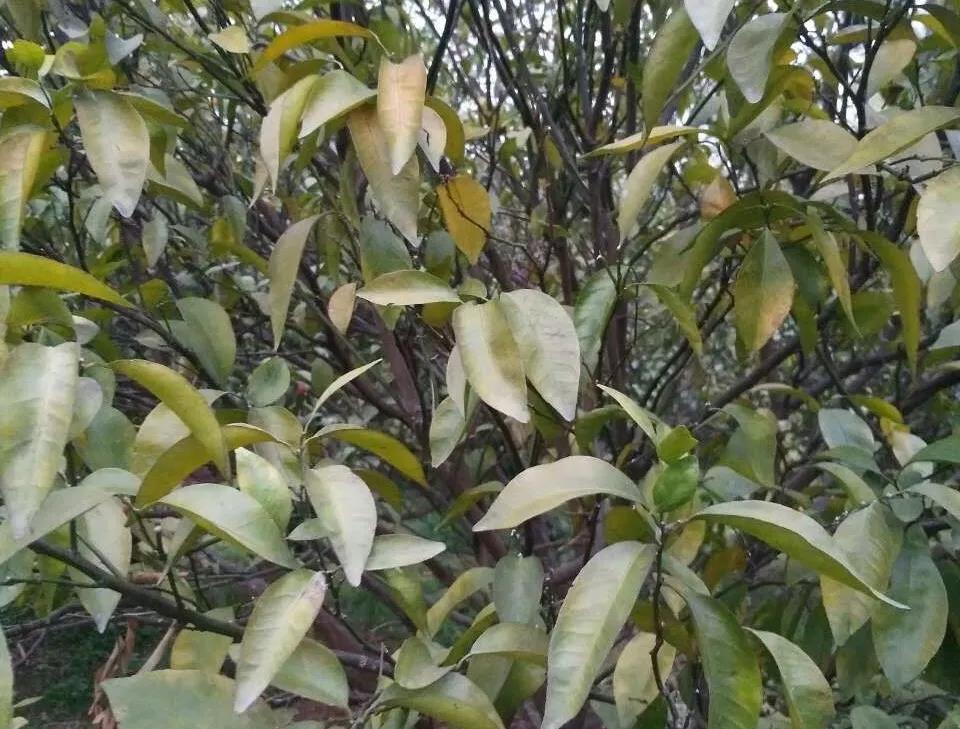 微信圖片_20200103143036.jpg 微信圖片_20200103143036.jpg