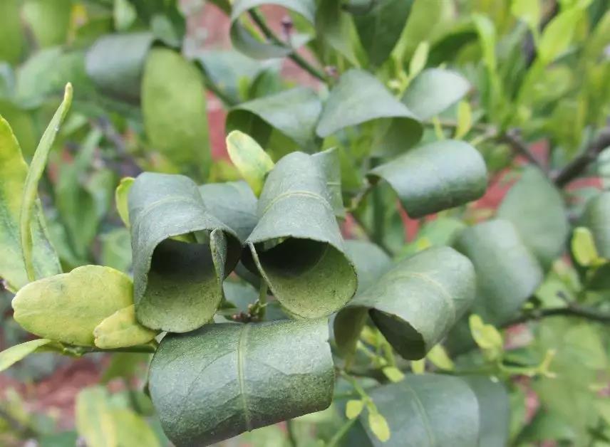 微信圖片_20200114153511.jpg 微信圖片_20200114153511.jpg