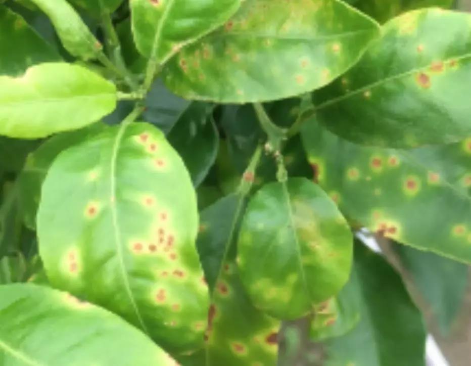 微信圖片_20200114153515.jpg 微信圖片_20200114153515.jpg