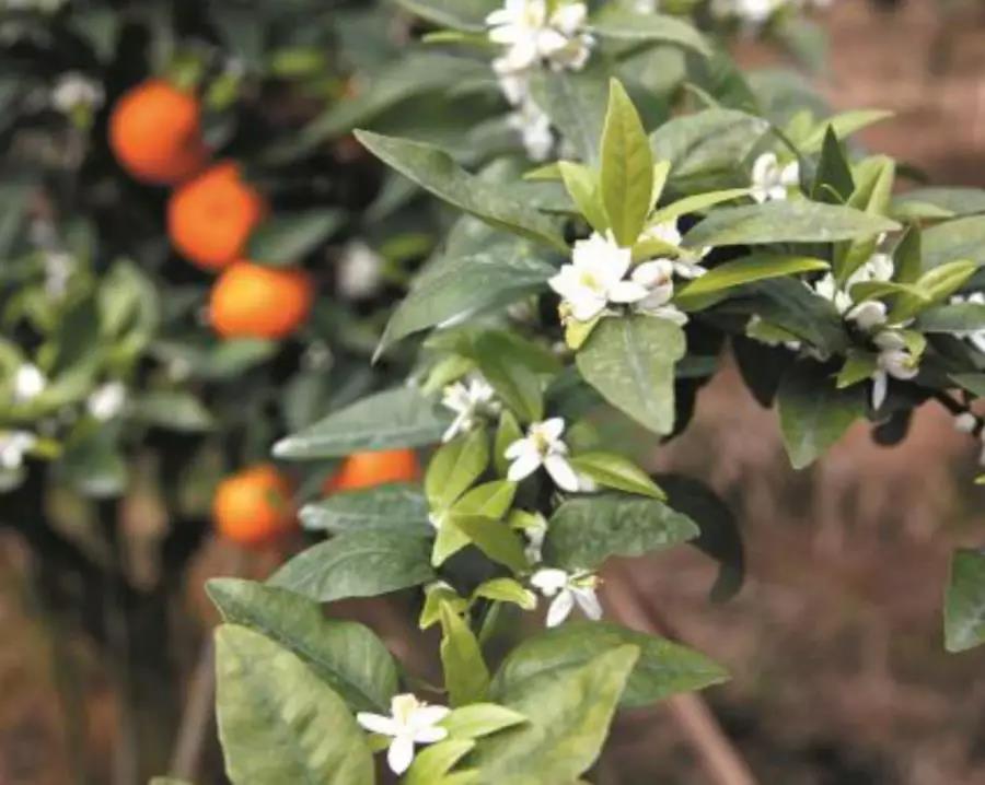 微信圖片_20200205121906.jpg 微信圖片_20200205121906.jpg