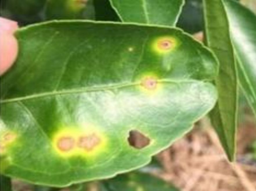 微信圖片_20200224152305.jpg 微信圖片_20200224152305.jpg