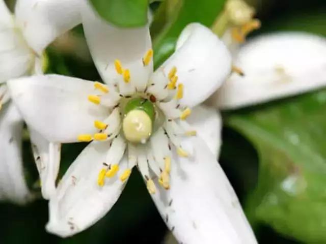 微信圖片_20200226115224.jpg 微信圖片_20200226115224.jpg