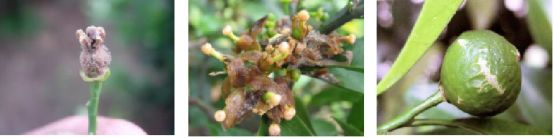 微信圖片_20200318143138.jpg 微信圖片_20200318143138.jpg