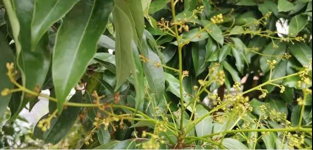 微信圖片_20200318143159.jpg 微信圖片_20200318143159.jpg