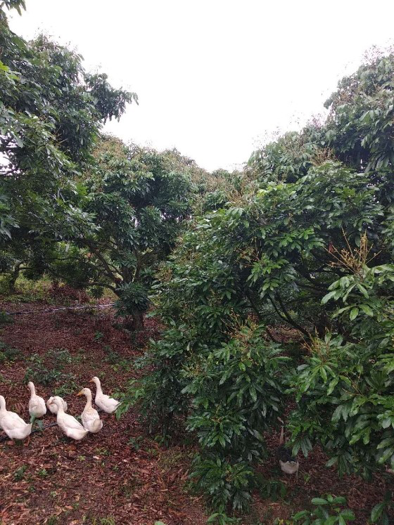 圖片1.png 圖片1.png