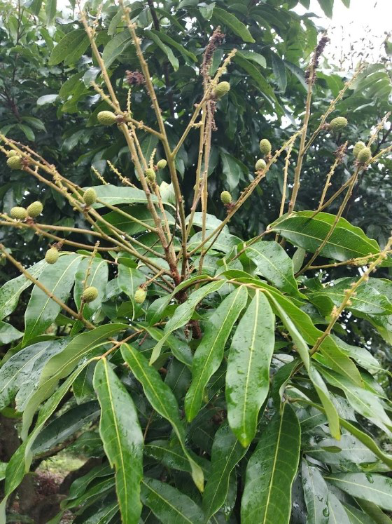 圖片3.png 圖片3.png