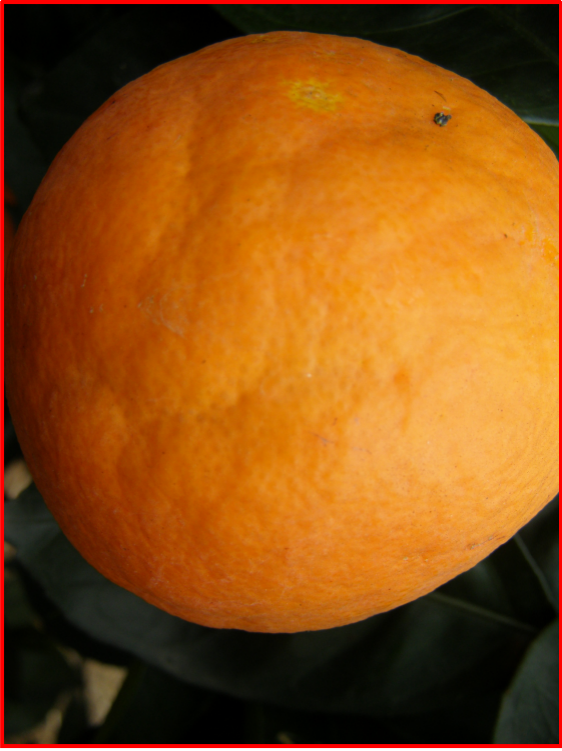 內(nèi)裂 內(nèi)裂