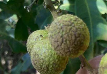 微信圖片_20200528164233.jpg 微信圖片_20200528164233.jpg