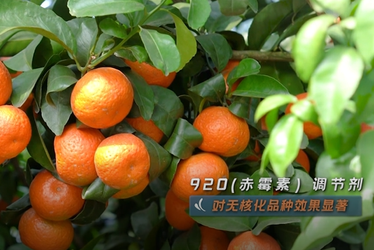 640 (4)123.png 640 (4)123.png