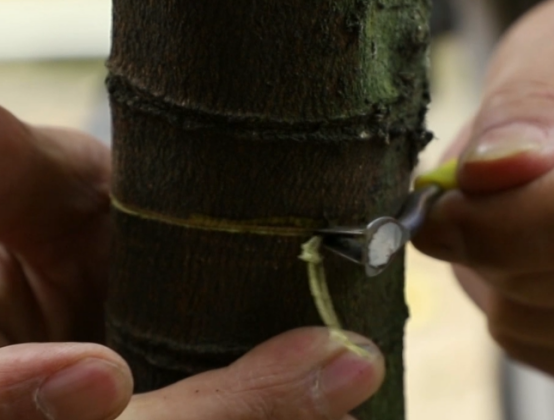 640 (4)53.png 640 (4)53.png