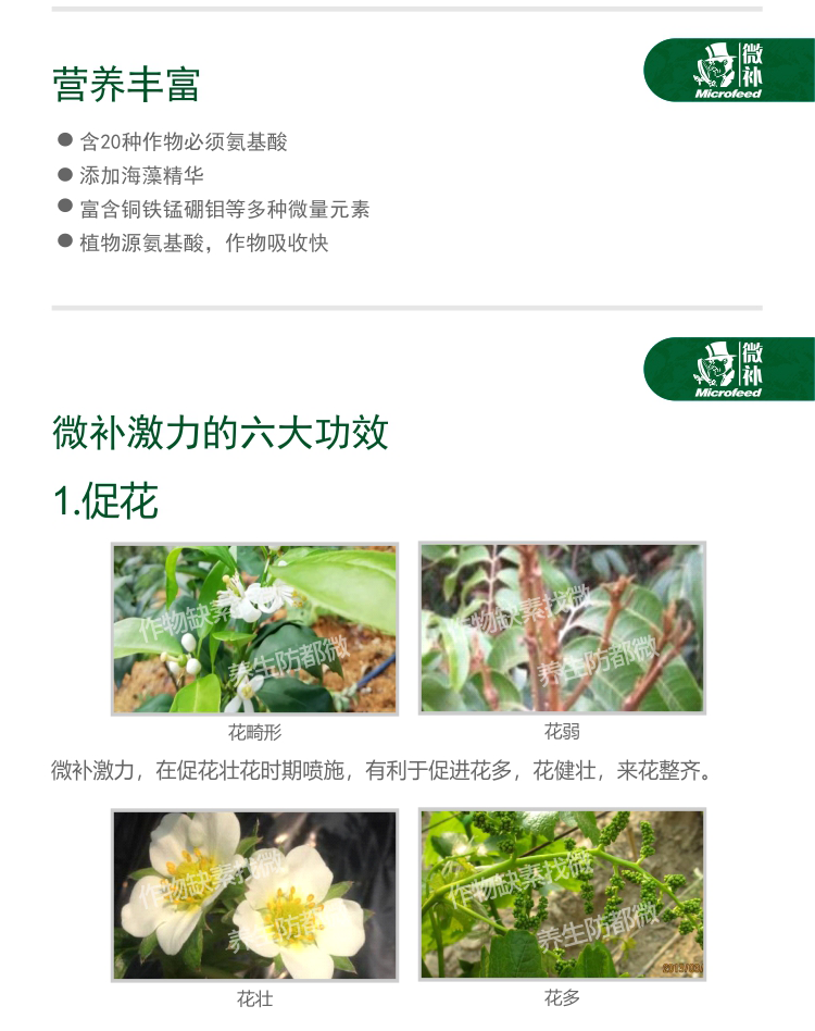 微補(bǔ)激活劑_02.png 微補(bǔ)激活劑_02.png