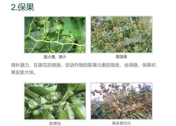 微補(bǔ)激活劑_03.png 微補(bǔ)激活劑_03.png