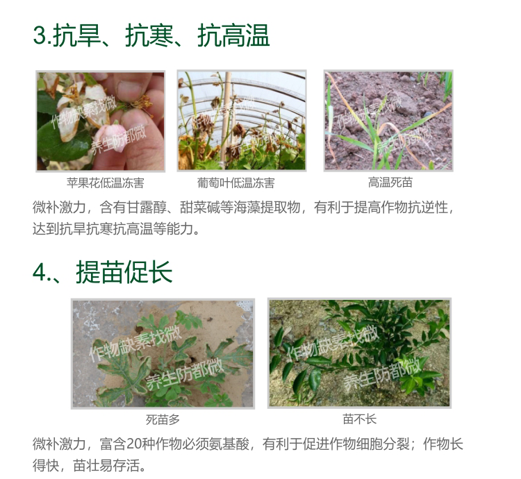 微補(bǔ)激活劑_04.png 微補(bǔ)激活劑_04.png