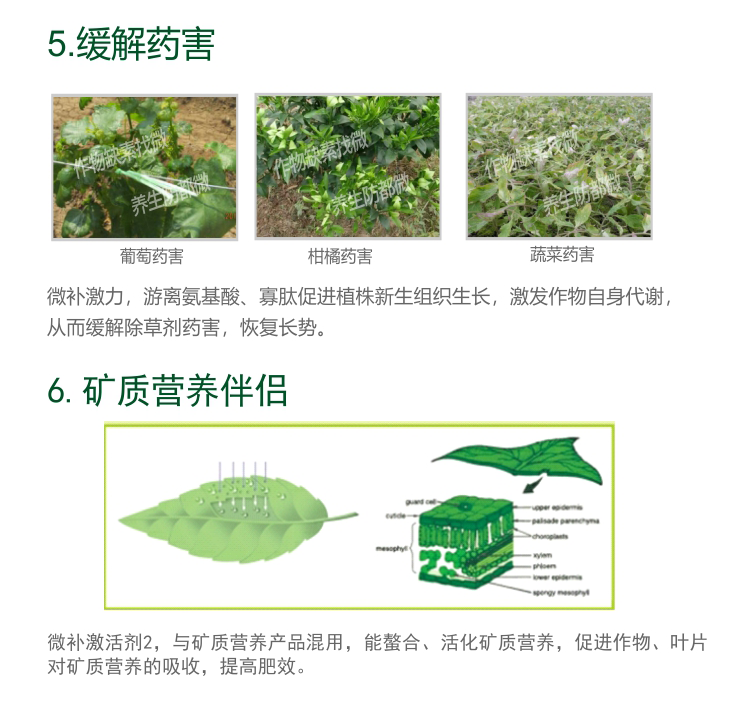 微補(bǔ)激活劑_05.png 微補(bǔ)激活劑_05.png