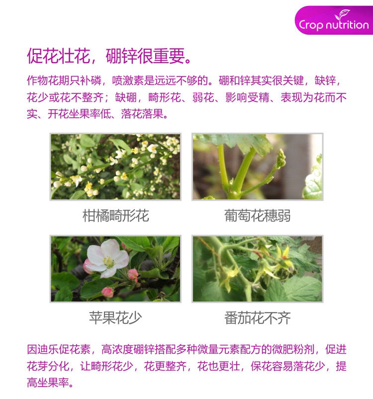 因迪樂有機促花素_02.jpg 因迪樂有機促花素_02.jpg