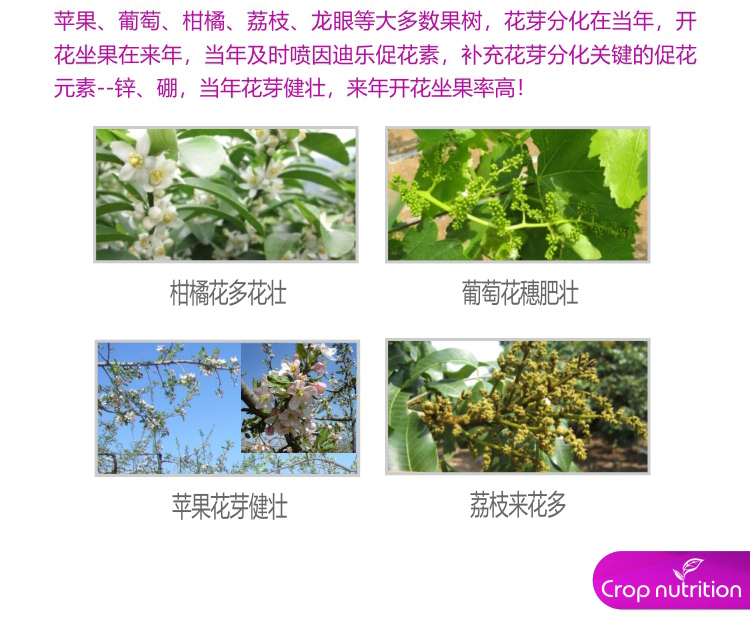 因迪樂有機促花素_03.jpg 因迪樂有機促花素_03.jpg