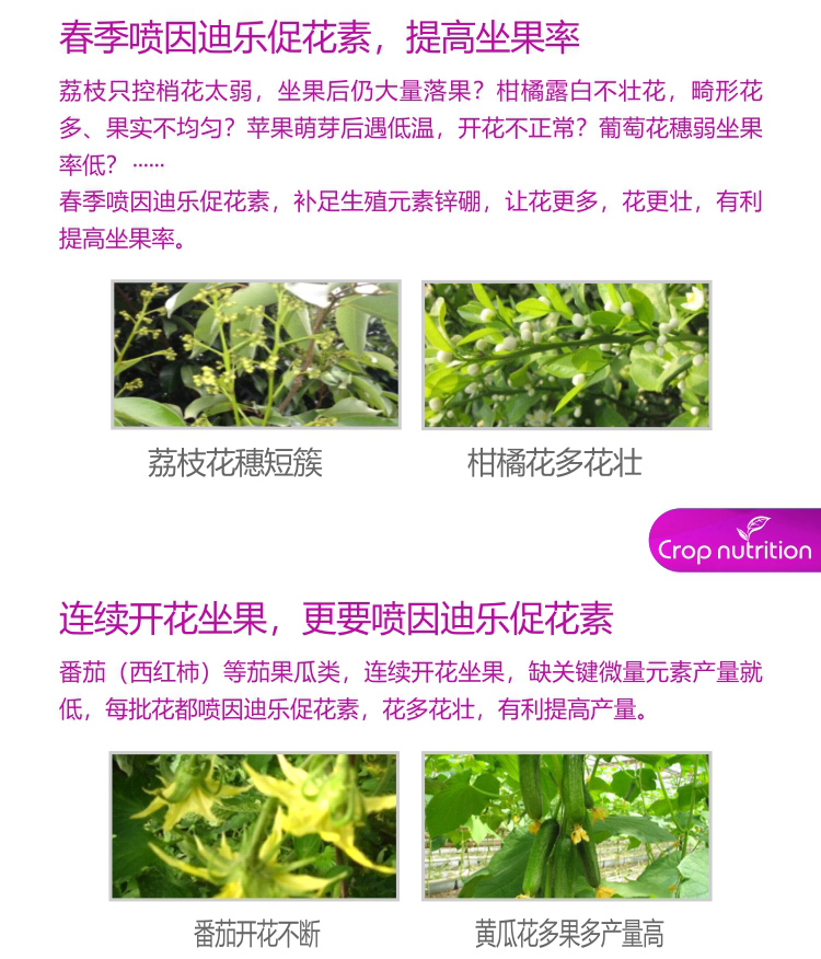 因迪樂有機促花素_04.jpg 因迪樂有機促花素_04.jpg
