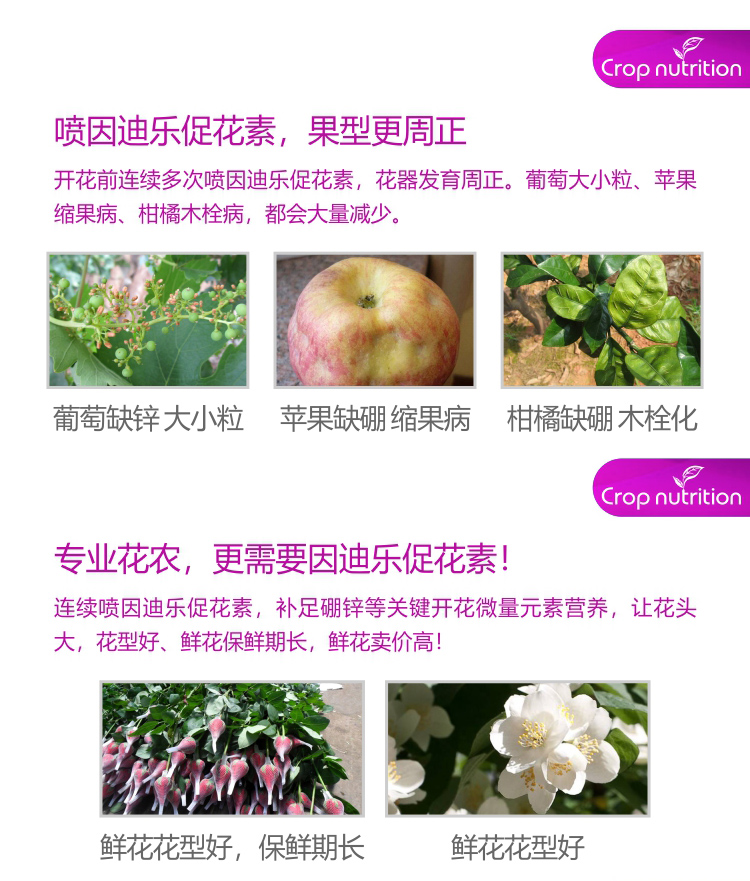 因迪樂有機促花素_05.jpg 因迪樂有機促花素_05.jpg