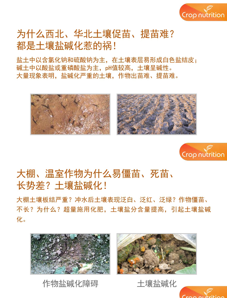 因迪樂有機(jī)鹽堿土調(diào)理水溶肥_02.jpg 因迪樂有機(jī)鹽堿土調(diào)理水溶肥_02.jpg