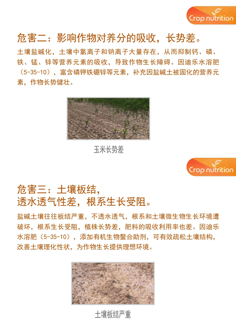 因迪樂有機(jī)鹽堿土調(diào)理水溶肥_04.jpg 因迪樂有機(jī)鹽堿土調(diào)理水溶肥_04.jpg