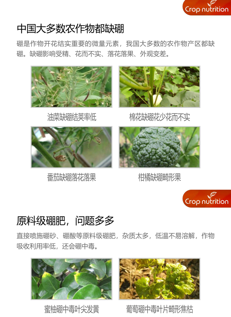 因迪樂有機海藻硼_02.jpg 因迪樂有機海藻硼_02.jpg